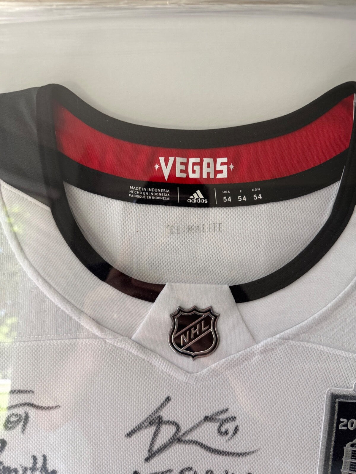 Las Vegas Golden Knights Framed Team Signed Stanley Cup Jersey Limited to 23 COA