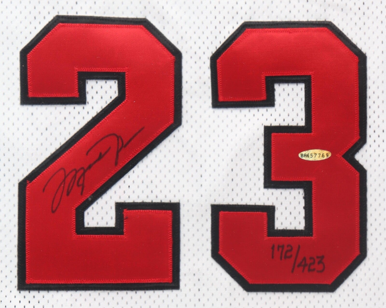 Michael Jordan Signed Mr. June 1995-96 Pro Cut Chicago Bulls Framed Jersey UDA